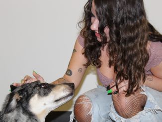 Demi Desire charms the author's dog